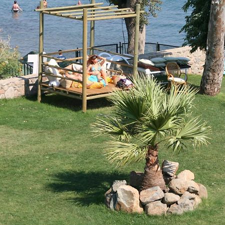 Gumbet Cove Hotel Bagian luar foto